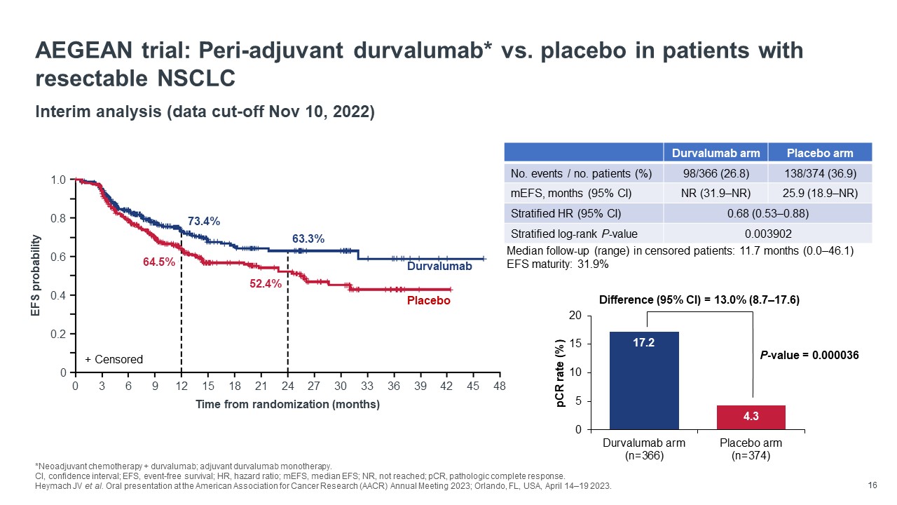 BeiGeneius_Lung Cancer webinar #4_3